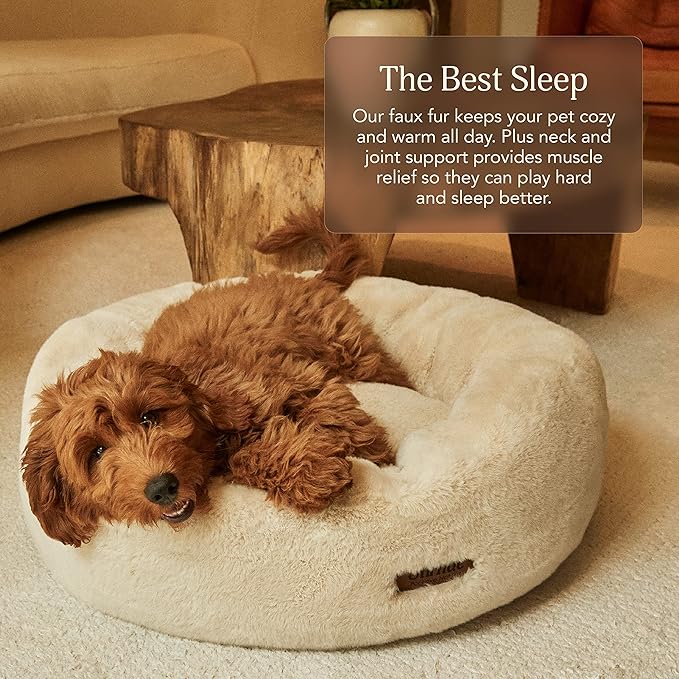 Smart Pet Gadgets for Busy Pet Parents