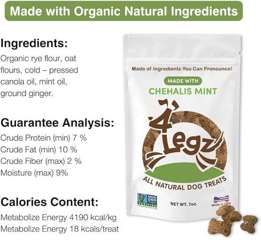 Pet Weight Management: Healthy Living for Overweight Pets