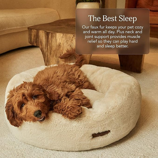 Smart Pet Gadgets for Busy Pet Parents